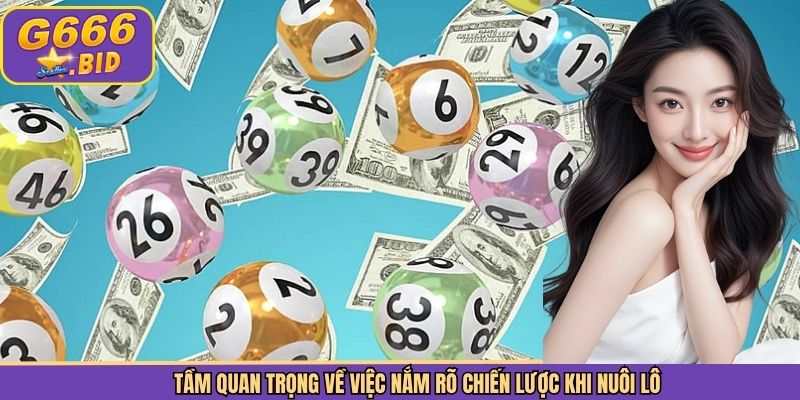 Tầm quan trọng về việc nắm rõ chiến lược khi nuôi lô